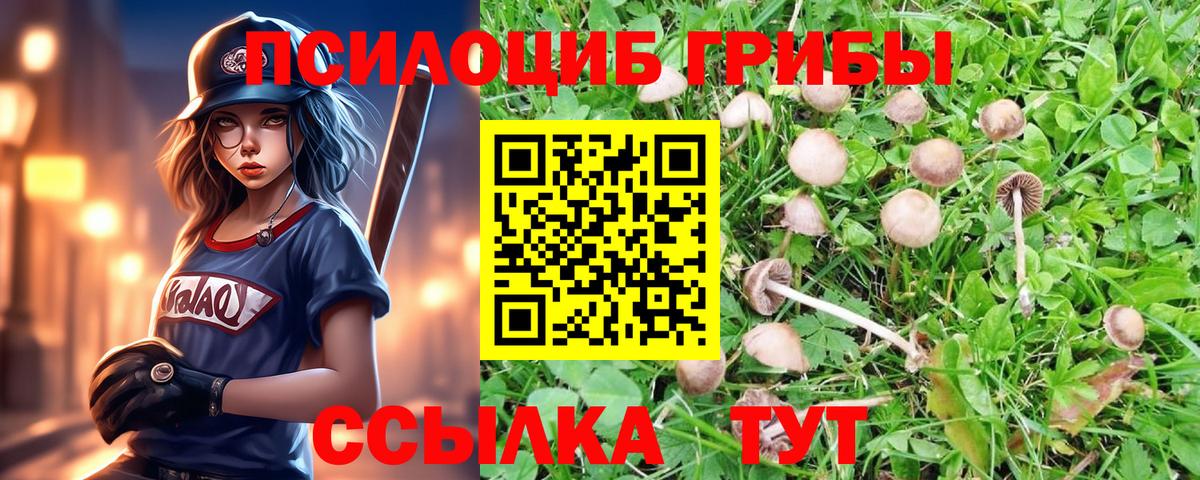 Туапсе  Галлюциногенные грибы мицелий  Вход с VPN 